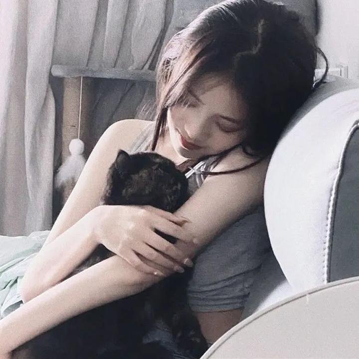 登龙有术海报